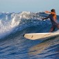 Preview: Bic Natural Surf 7.9 Padded