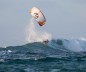 Preview: Cabrinha Drifter Surf Kite 2018
