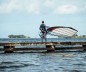 Preview: Loftsails Switchblade Race Segel C2 Weiß auf dem Weg zum Windsurfen