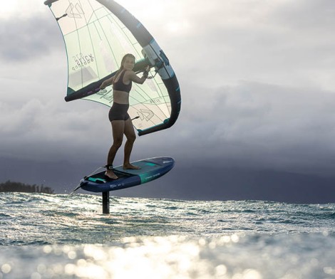 Fanatic SKY Free TE Wing 2023 einfach nur Wingen