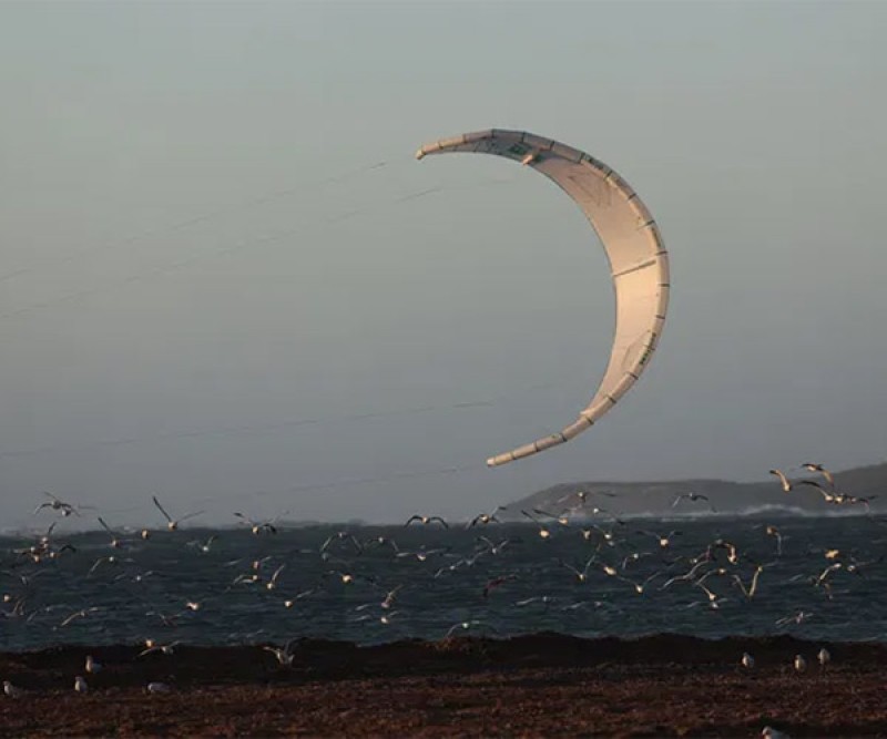 Duotone Evo Kite Concept Blue C12 Weiß 025 ganz hoch