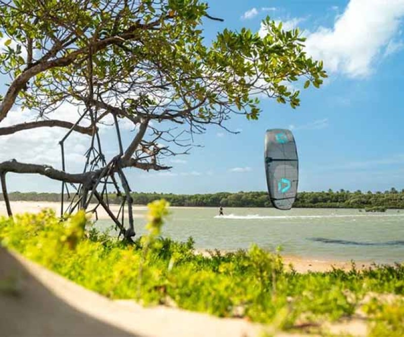 Duotone Evo Kite SLS C12 Green.Purple 2026 am Beach